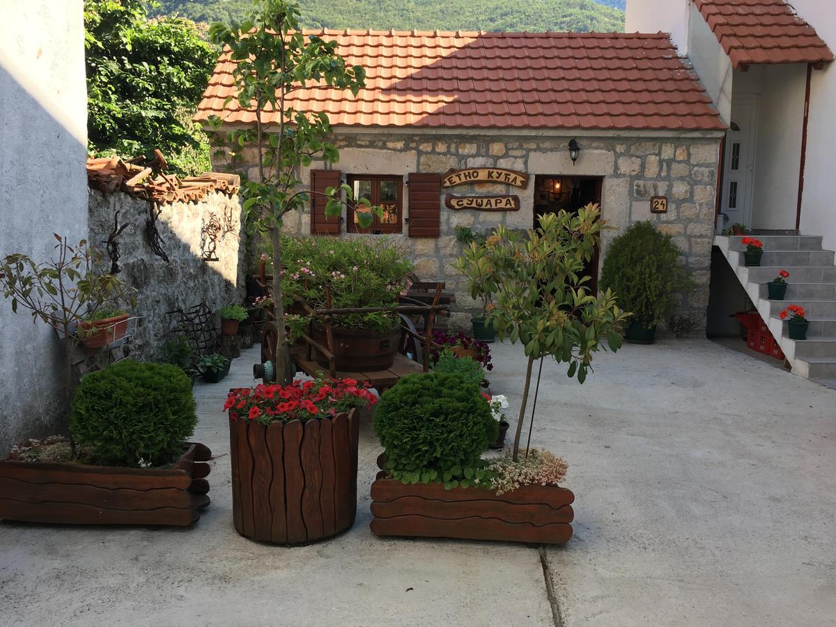 Bnb Njeguska Sijela Njegusi 외부 사진